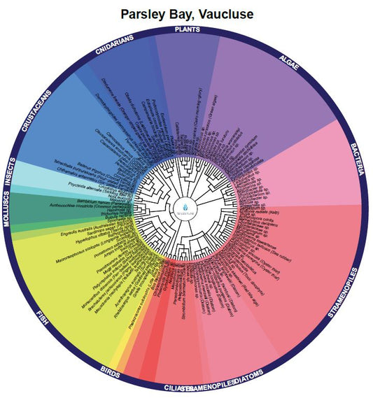 Environmental DNA in Southern Sydney Harbour